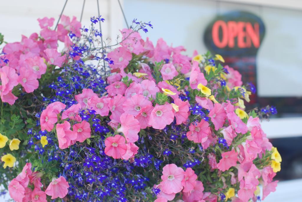 Tantramar Motel Sackville Ngoại thất bức ảnh
